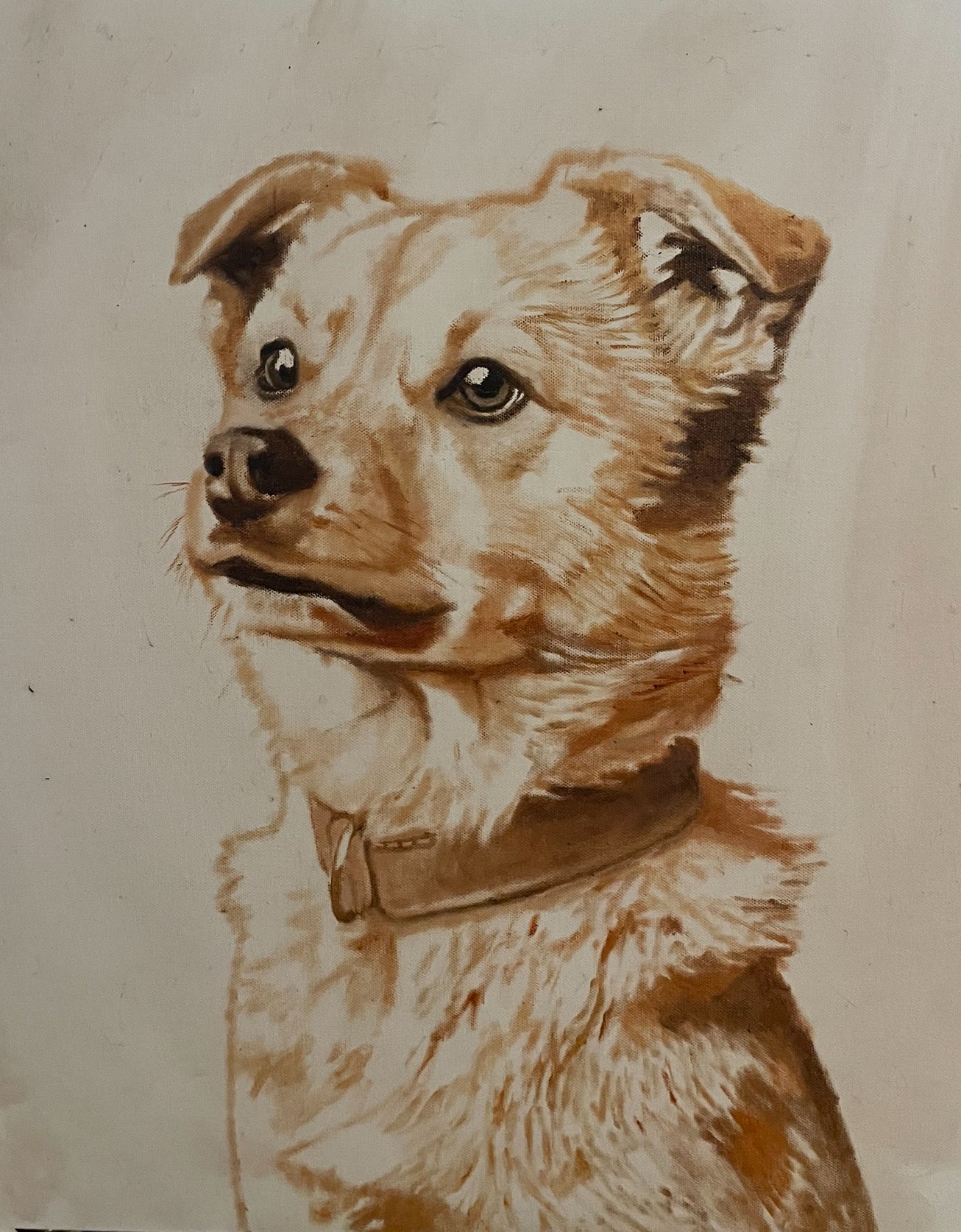 A Pet Portrait